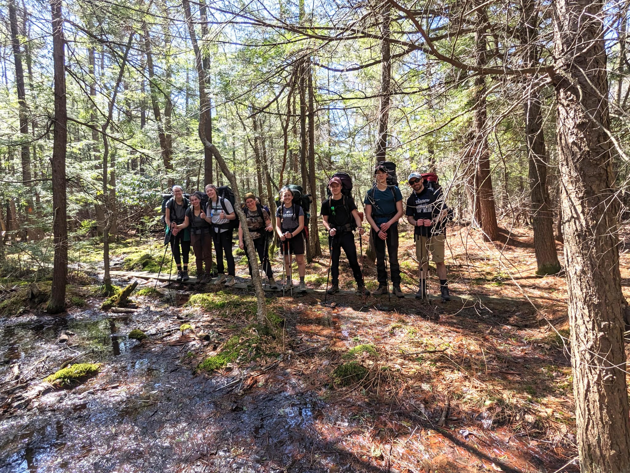 c0d78242-6f64-4d15-a0cc-f0a9ea7592f8